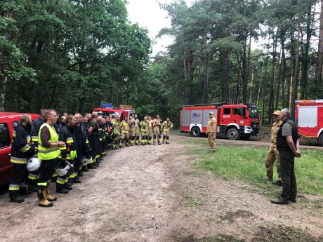 Manewry strażackie na terenach leśnych Nadleśnictwa Podanin w Gminie Gołańcz